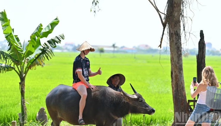 Hành trình chuyển mình mạnh mẽ của du lịch Việt Nam