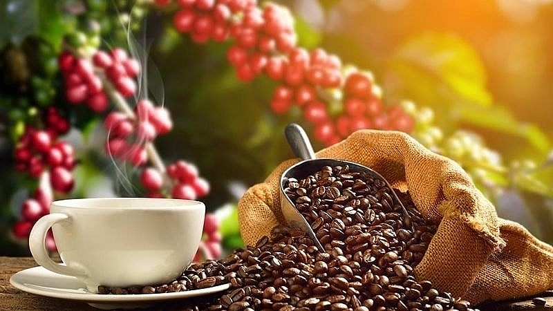 Giá nông sản hôm nay 29/6: Cà phê lấy lại mốc 90.000 đồng/kg, hồ tiêu giữ vùng giá cao, gạo giao dịch chậm