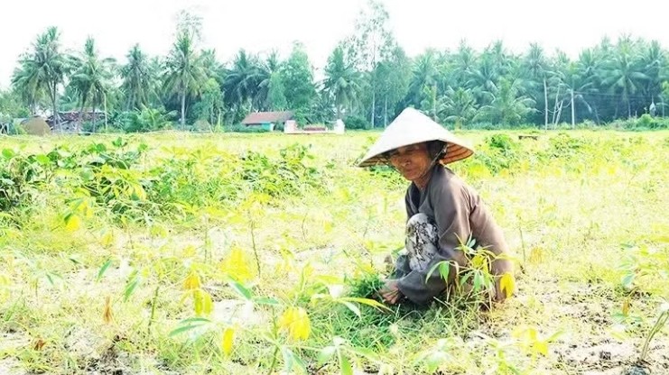 Phòng chống thoái hóa đất