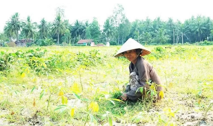 Phòng chống thoái hóa đất Phòng chống thoái hóa đất