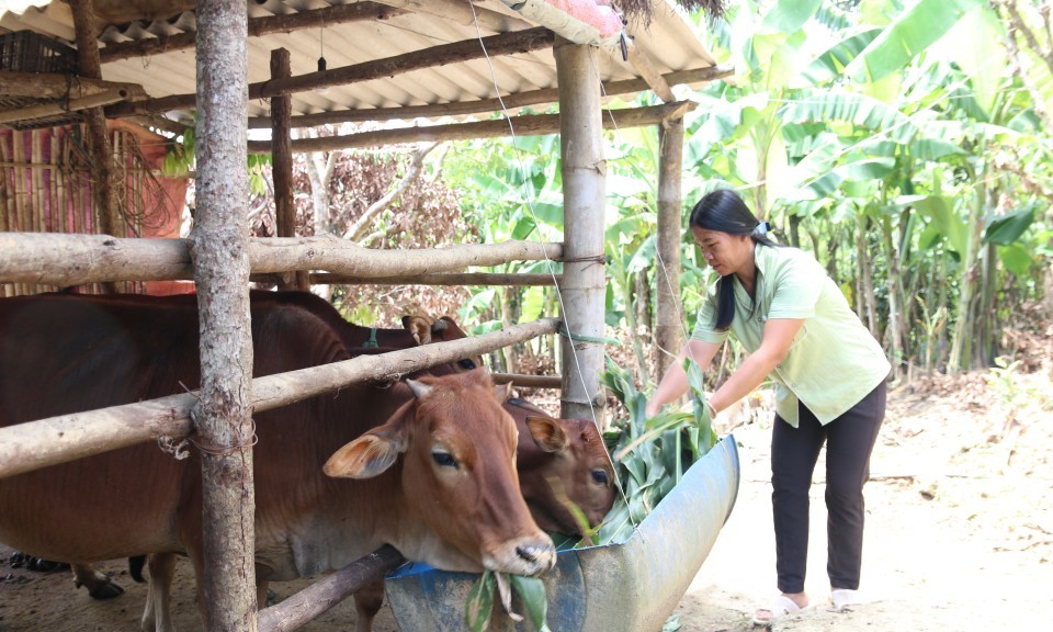 Thái Nguyên hỗ trợ sinh kế, hướng mục tiêu giảm nghèo bền vững