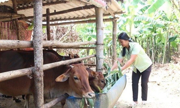 Thái Nguyên hỗ trợ sinh kế, hướng mục tiêu giảm nghèo bền vững