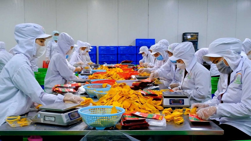 Nâng tầm nông sản Việt bằng chuỗi giá trị và công nghệ Nâng tầm nông sản Việt bằng chuỗi giá trị và công nghệ