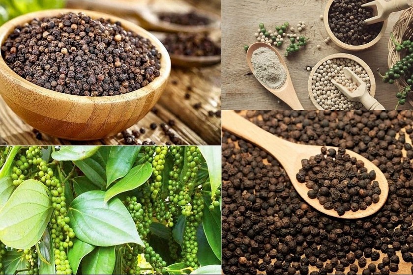 Giá nông sản hôm nay 26/7: Hồ tiêu đi ngang, cà phê thế giới phục hồi, lúa gạo ổn định Giá nông sản hôm nay 26/7: Hồ tiêu đi ngang, cà phê thế giới phục hồi, lúa gạo ổn định