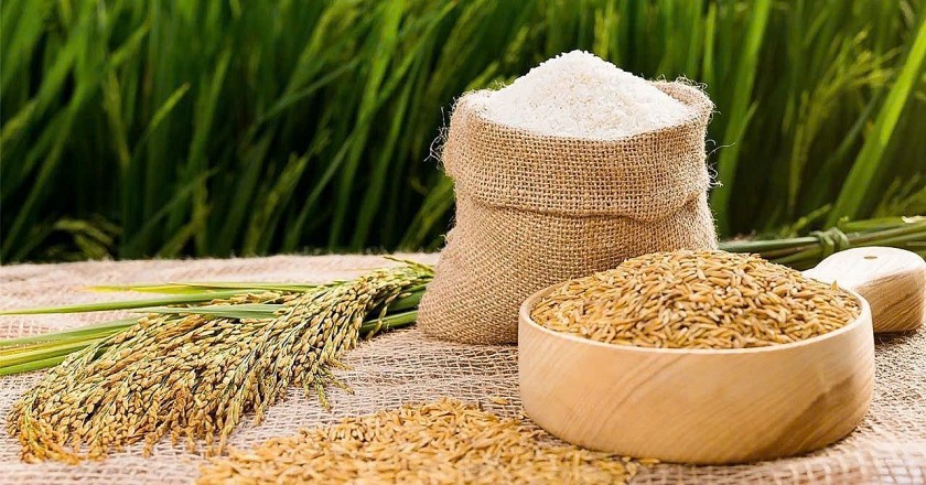Giá nông sản hôm nay 1/8: Hồ tiêu đi ngang, cà phê phân hóa, lúa gạo khởi sắc Giá nông sản hôm nay 1/8: Hồ tiêu đi ngang, cà phê phân hóa, lúa gạo khởi sắc