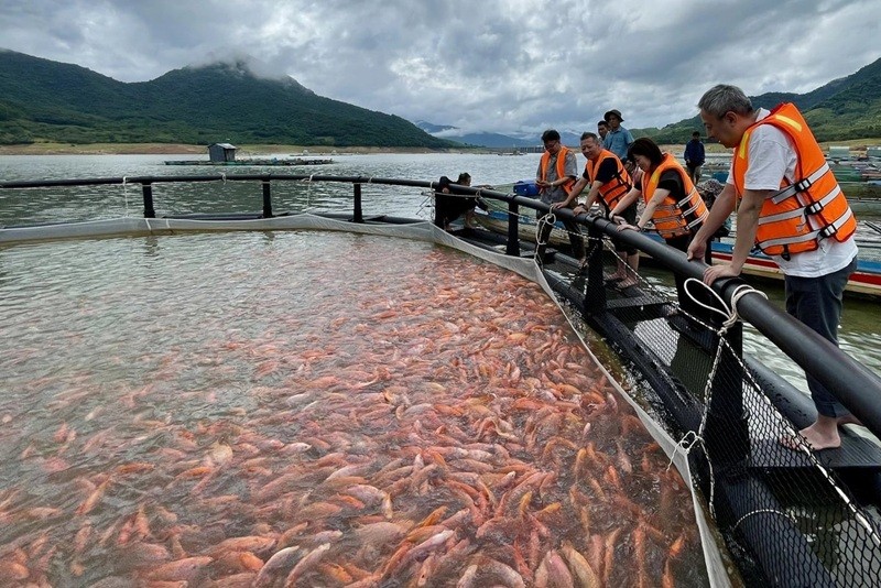 Gia Lai mở rộng vùng nuôi trồng thủy sản tại các hồ chứa