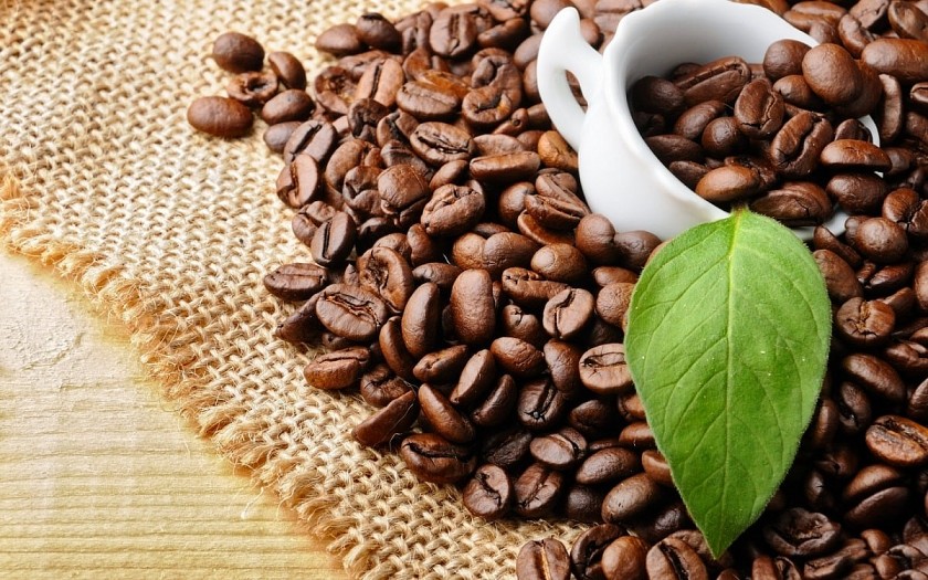 Giá nông sản hôm nay 8/8: Tiêu đi ngang, cà phê giảm mạnh, lúa tươi tiếp tục tăng