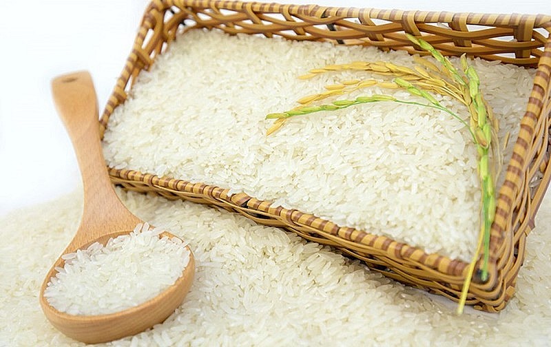 Giá nông sản hôm nay 14/8: Cà phê giảm, tiêu đi ngang, gạo xuất khẩu tăng nhẹ
