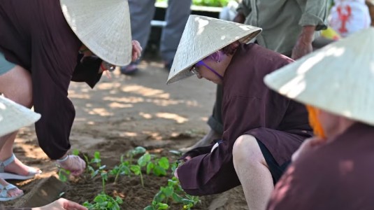 Phát triển du lịch nông thôn gắn với sản phẩm OCOP