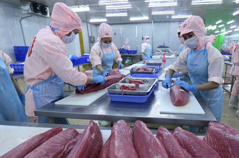 Thủy sản Việt Nam trước sức ép thuế Mỹ: Lợi thế cạnh tranh phải vượt khỏi giá bán Thủy sản Việt Nam trước sức ép thuế Mỹ: Lợi thế cạnh tranh phải vượt khỏi giá bán