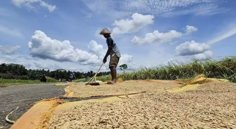 Hiện tượng El Nino mạnh lên nhanh chóng Hiện tượng El Nino mạnh lên nhanh chóng