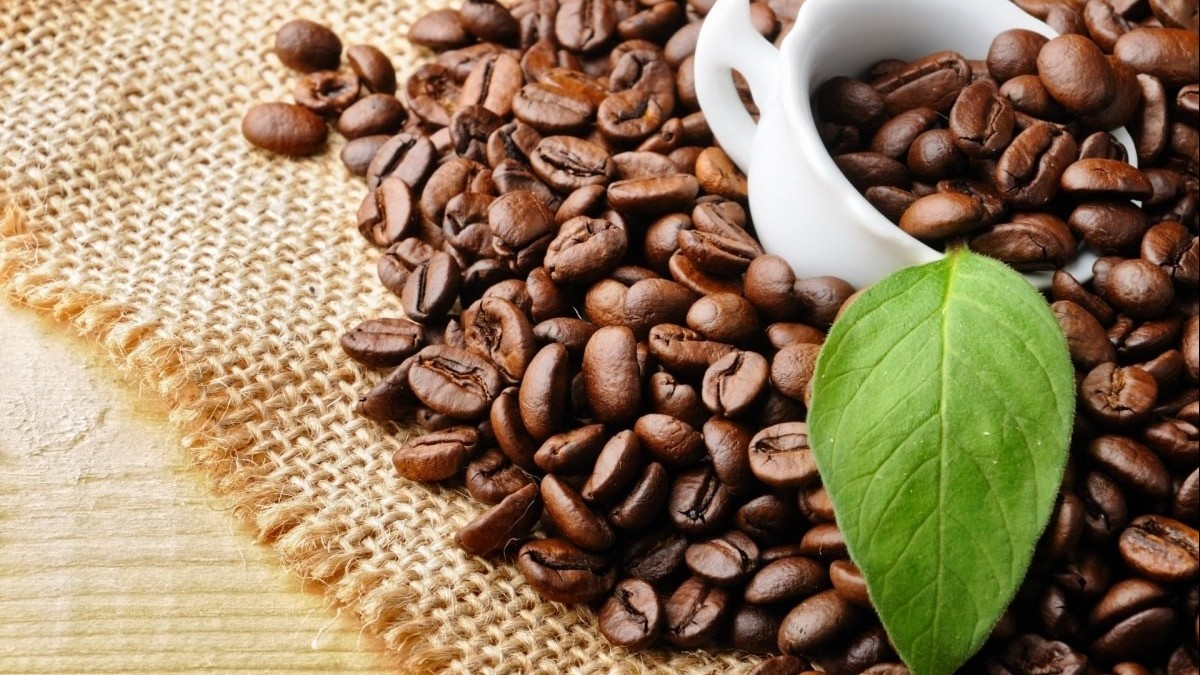 Nâng giá trị Robusta Việt Nam từ vùng nguyên liệu