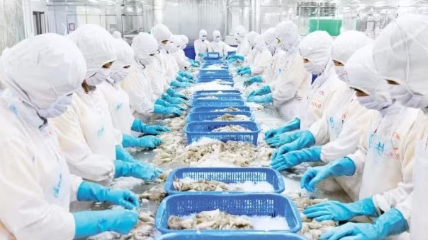 Đẩy nhanh hoạt động sản xuất, xuất khẩu