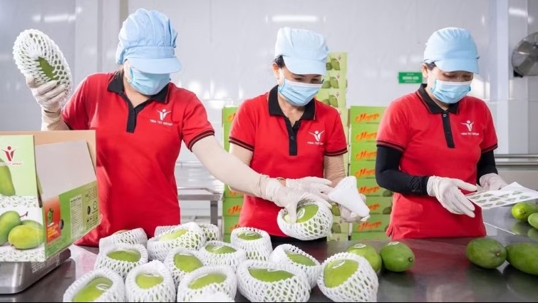 Chuẩn hóa nguồn cung, giữ đơn hàng xuất khẩu