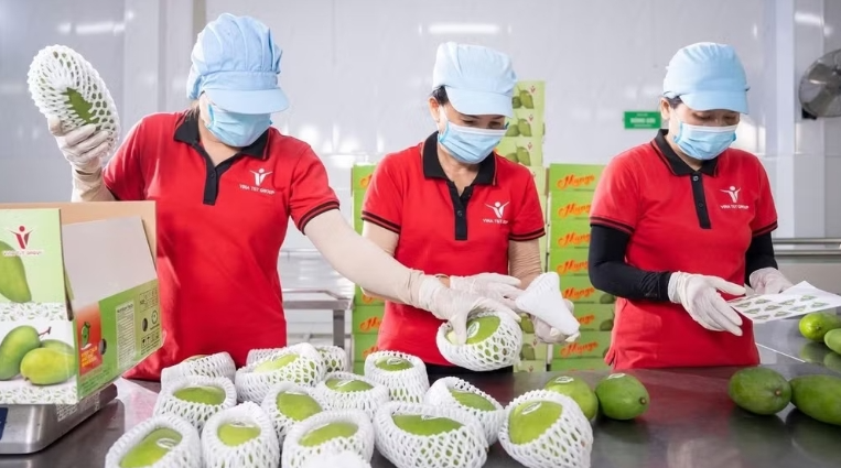Chuẩn hóa nguồn cung, giữ đơn hàng xuất khẩu