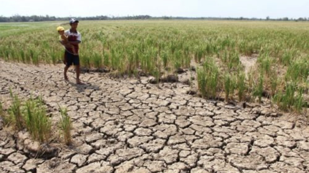 El Niño mạnh trở lại, miền Trung, Tây Nguyên và Nam Bộ đối mặt nguy cơ thiếu nước