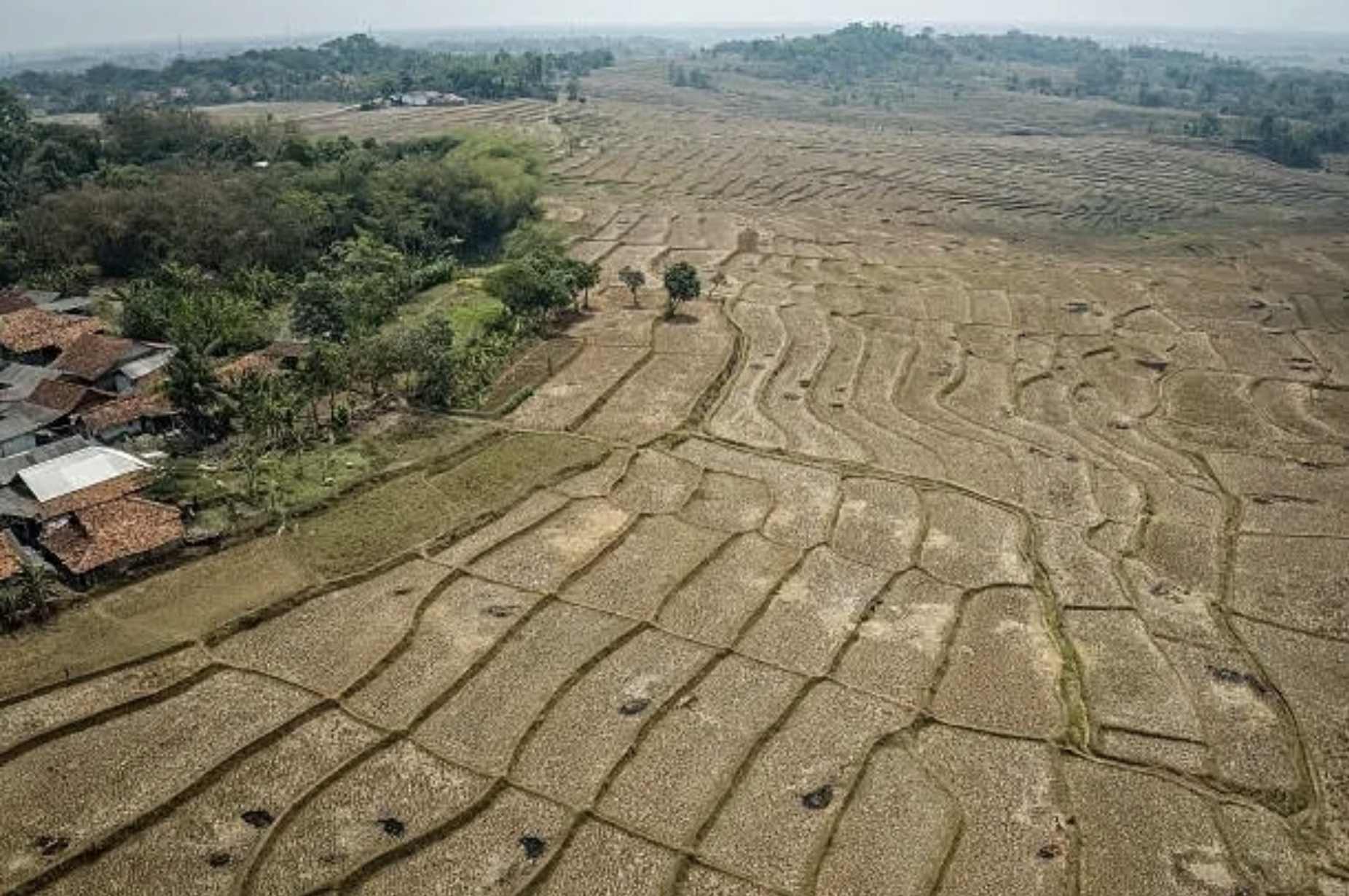 El Niño được dự báo duy trì cường độ rất mạnh trong những tháng cuối năm 2026 và đầu năm 2027, làm gia tăng nguy cơ hạn hán, thiếu nước và xâm nhập mặn tại miền Trung, Tây Nguyên và Nam Bộ. Ảnh internet