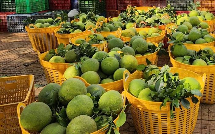 Kim ngạch xuất khẩu nông lâm thủy sản 9 tháng ước đạt 56,3 tỷ USD