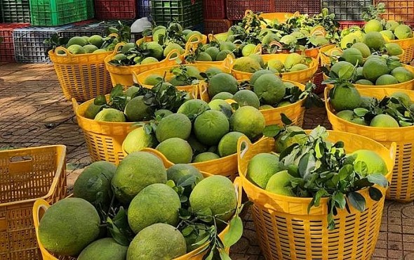 Kim ngạch xuất khẩu nông lâm thủy sản 9 tháng ước đạt 56,3 tỷ USD