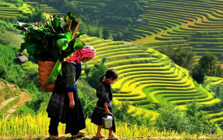 Du lịch cộng đồng tạo động lực phát triển sinh kế