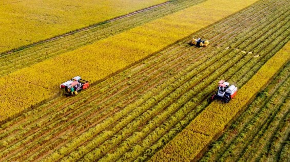 Sản xuất nông nghiệp vào cuộc đua nước rút cuối năm