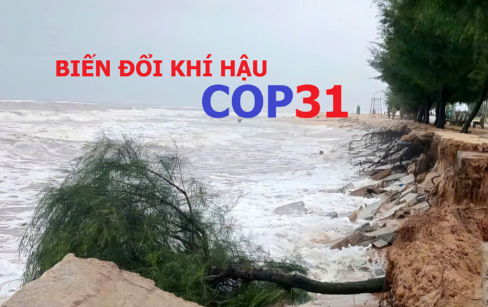 Nhiều hoạt động diễn ra trước thềm COP31