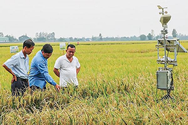 Nông nghiệp Việt Nam tìm động lực tăng trưởng từ khoa học công nghệ và chế biến sâu