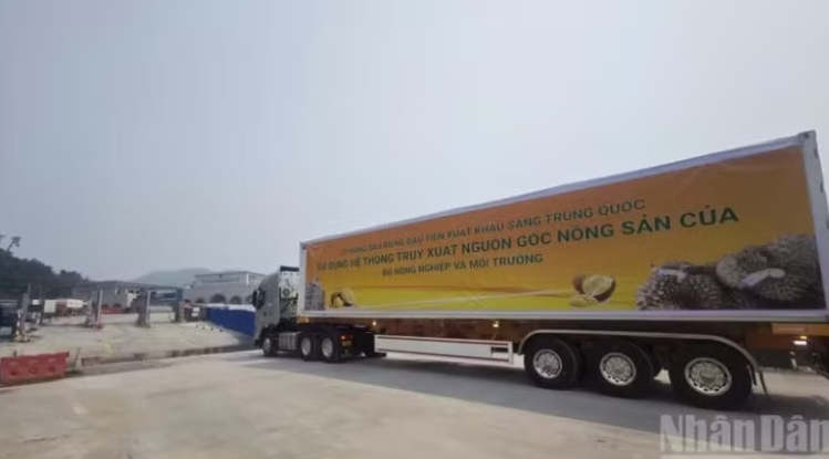 Giải bài toán thị trường hàng hóa Việt Nam