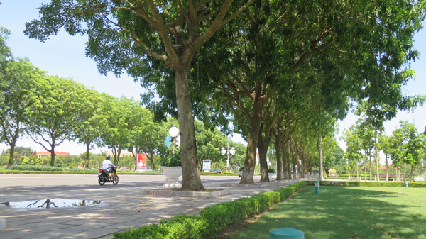 Tăng cường quản lý hệ thống cây xanh trong phát triển đô thị