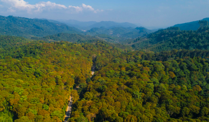 Tiềm năng bán tín chỉ CO2 là rất lớn