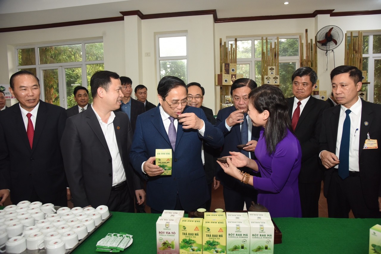 Thủ tướng: Ngành NN&amp;PTNT đã hoàn thành xuất sắc nhiệm vụ năm 2022