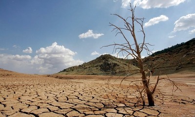 Ảnh hưởng của biến đổi khí hậu đối với hệ sinh thái trên Trái đất Ảnh hưởng của biến đổi khí hậu đối với hệ sinh thái trên Trái đất