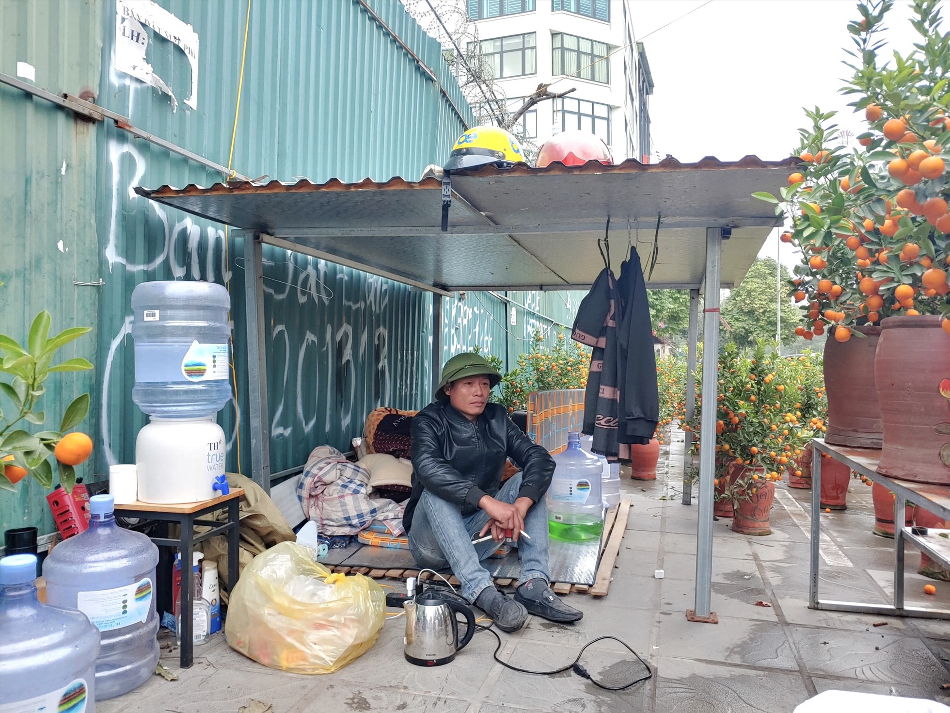 Lái buôn quất cảnh: Tết năm nay không có bánh chưng