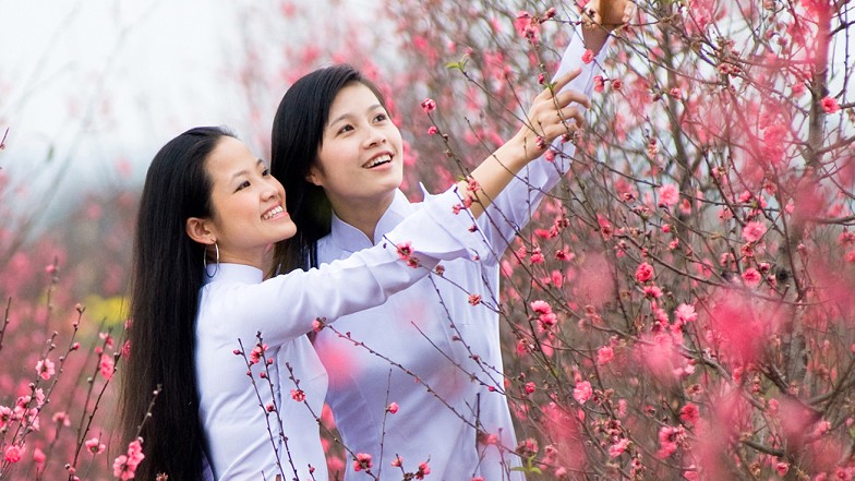 Mùa xuân - mùa của những sắc hoa đua nở