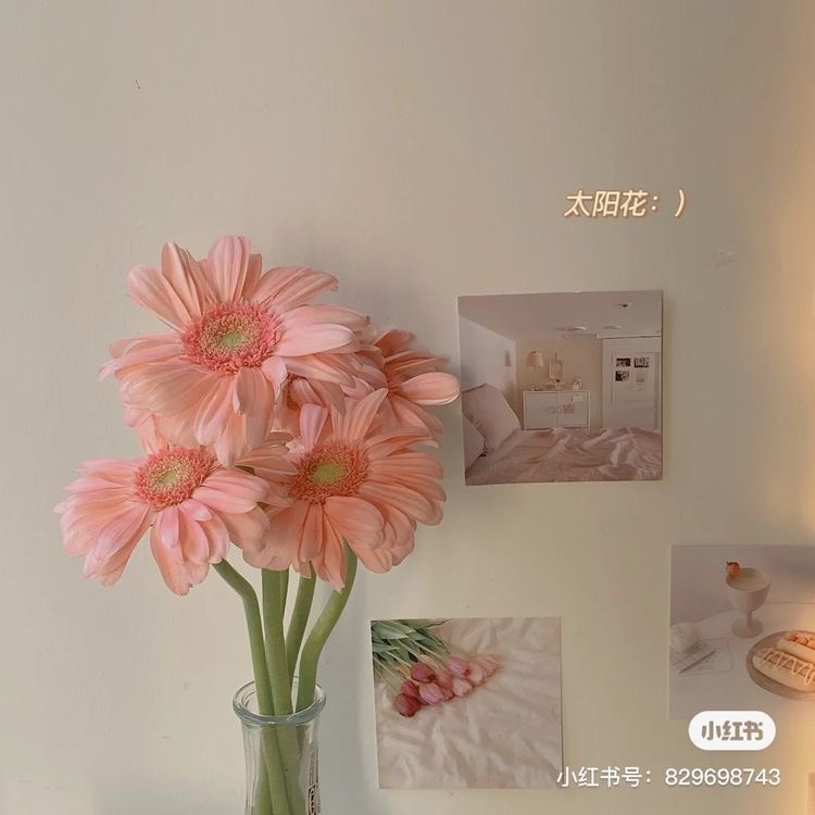 Tử vi 12 con giáp ngày 2/1/2024: Tuổi Tuất vất vả ngược xuôi, tuổi Sửu đón vận may