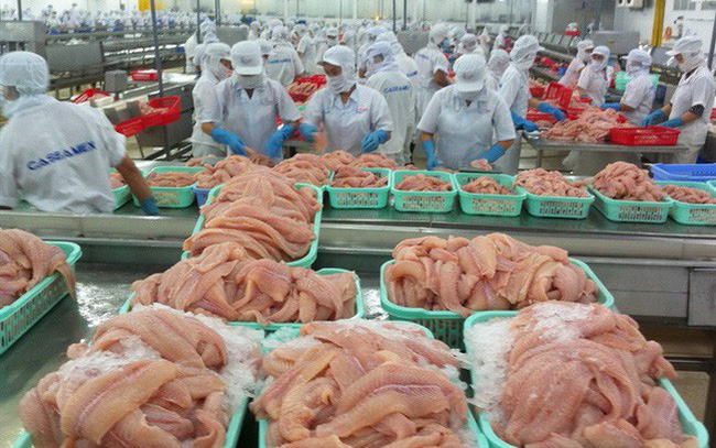 Xuất khẩu thủy sản đối diện với nhiều khó khăn