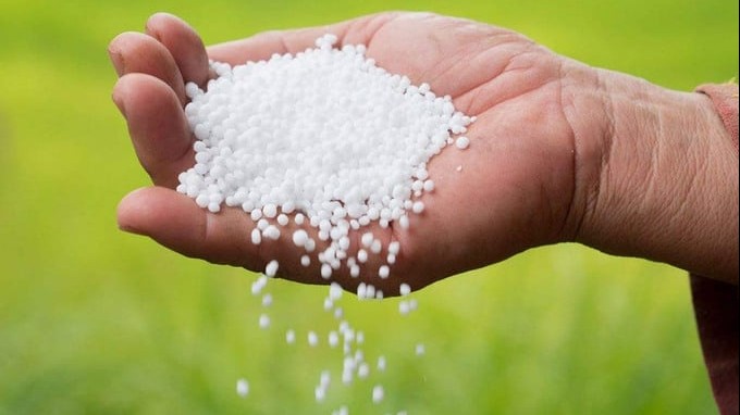Giá phân bón năm 2024 có thể tăng nhẹ vì nguồn cung thắt chặt