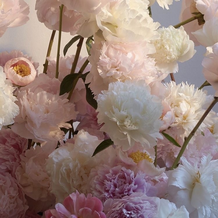 Tử vi 12 con giáp ngày 24/1/2024: Tuổi Tuất gặp xui xẻo, tuổi Sửu thuận lợi