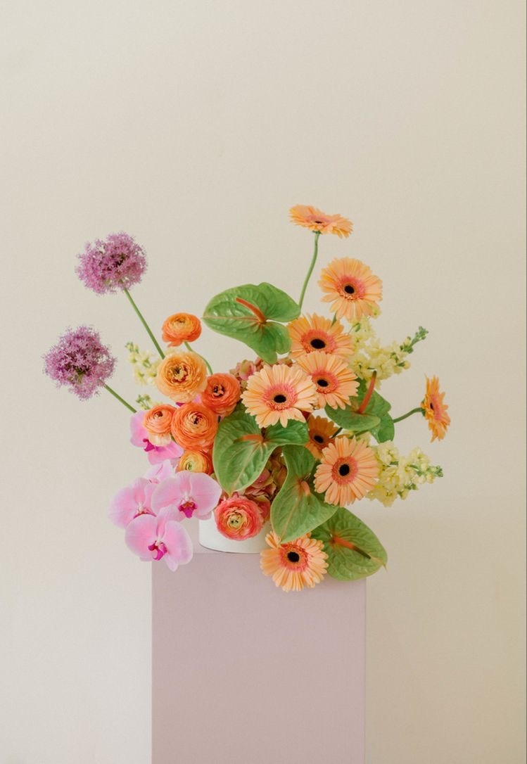 Tử vi 12 con giáp ngày 26/1/2024: Tuổi Mão điềm báo thị phi, tuổi Dậu có tin tốt đẹp