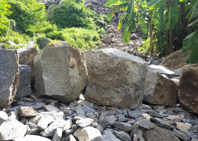 Giảm phụ thuộc vào khai thác khoáng sản, khai thác hiệu quả kinh tế rừng Giảm phụ thuộc vào khai thác khoáng sản, khai thác hiệu quả kinh tế rừng