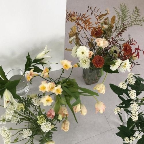 Tử vi 12 con giáp ngày 29/1/2024: Tuổi Sửu chịu tác động xấu, tuổi Ngọ tiến triển tích cực