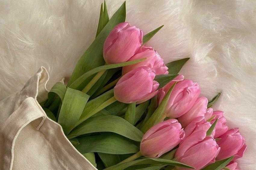 Tử vi 12 con giáp ngày 30/1/2024: Tuổi Dậu quý nhân chỉ lối, tuổi Mùi sự nghiệp khó khăn