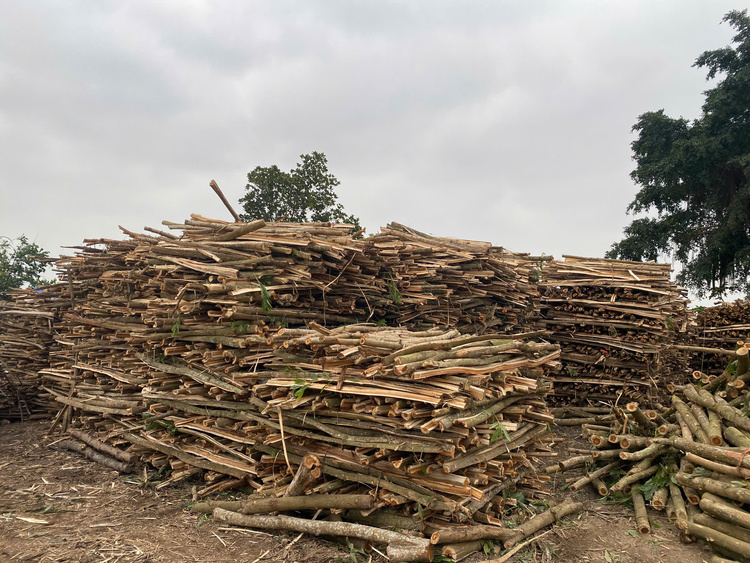 Ninh Bình: Làng gốm hơn 60 năm tuổi vào vụ Tết