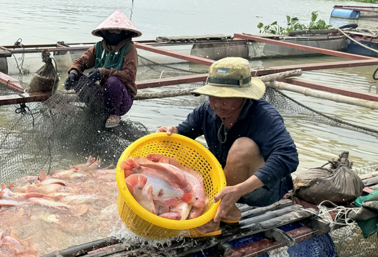 Bảo vệ môi trường trong nuôi trồng thủy sản ở Đồng Nai