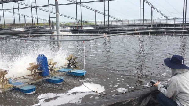 Bảo vệ môi trường trong nuôi trồng thủy sản ở Đồng Nai