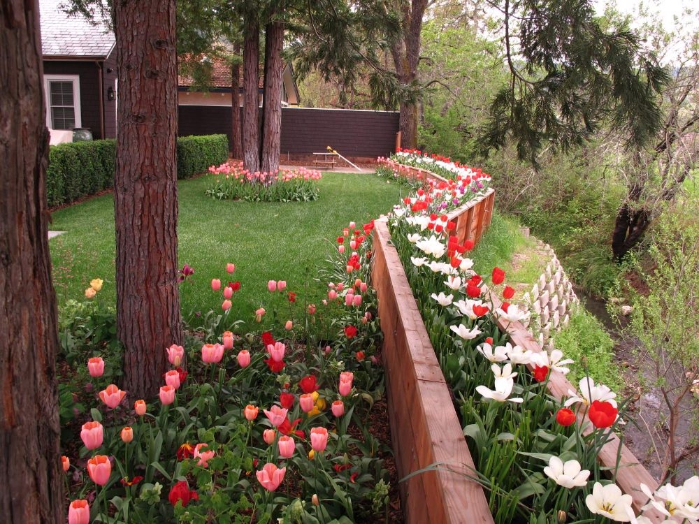 Tử vi vòng quay công nghệ ngày 18/1/2026: Tuổi Dậu quý nhân che chở, tuổi Thân nhiều may mắn Tử vi vòng quay công nghệ ngày 18/1/2026: Tuổi Dậu quý nhân che chở, tuổi Thân nhiều may mắn