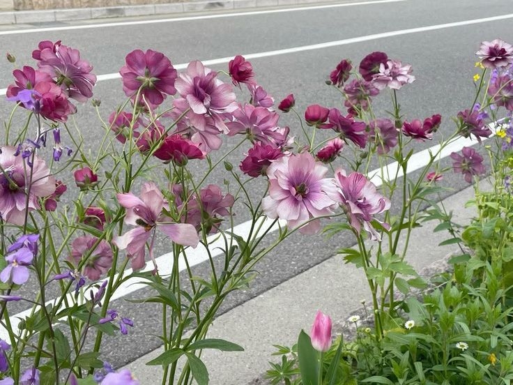 Tử vi vòng quay công nghệ ngày 18/1/2026: Tuổi Dậu quý nhân che chở, tuổi Thân nhiều may mắn Tử vi vòng quay công nghệ ngày 18/1/2026: Tuổi Dậu quý nhân che chở, tuổi Thân nhiều may mắn