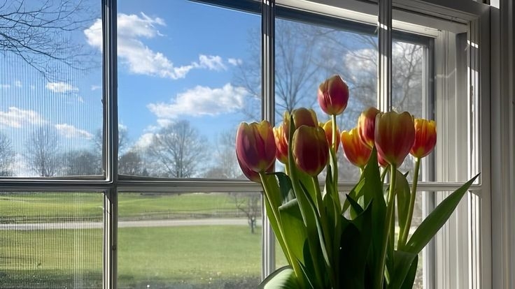 Tử vi vòng quay công nghệ ngày 19/1/2026: Tuổi Sửu phát triển tốt đẹp, tuổi Tý hao tài tốn của