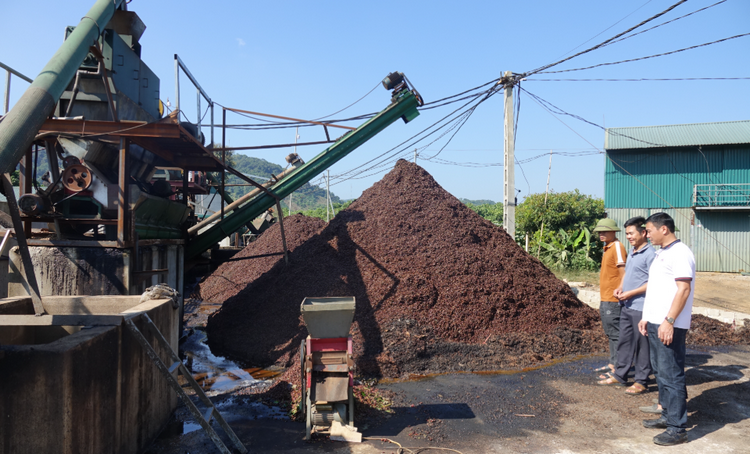 Sơn La: Bảo vệ môi trường trong sản xuất, canh tác cà phê