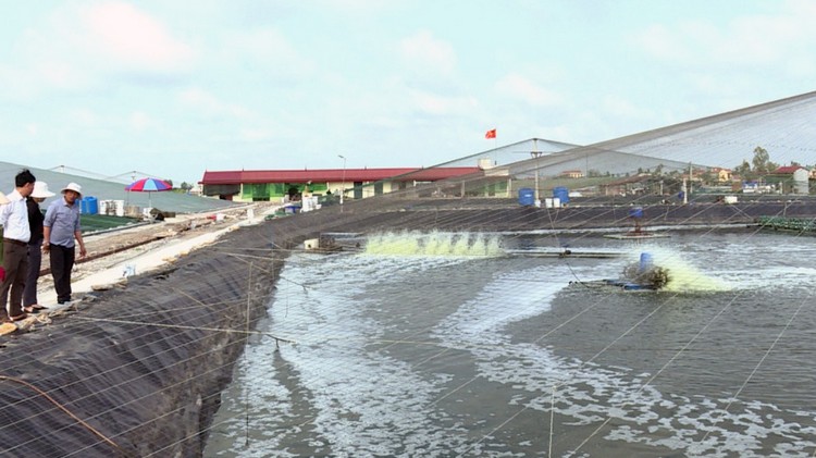 Ninh Bình: Ứng dụng công nghệ hiện đại trong nuôi trồng thuỷ sản